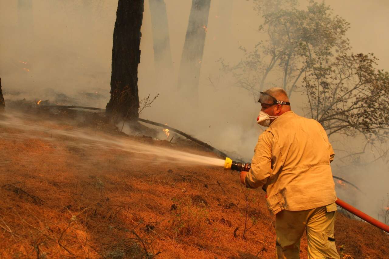 Muğla’da Orman Yangınlarının Acı Tablosu: 3 Yılda Yaklaşık 6 Bin Hektar Alan Kül Oldu 3